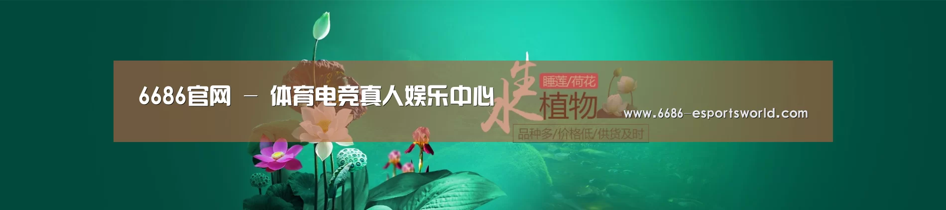 鲜花水草花卉网站模板