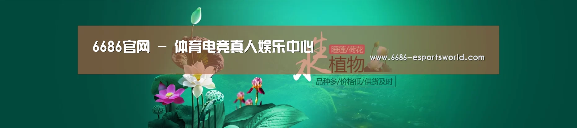 鲜花水草花卉网站模板