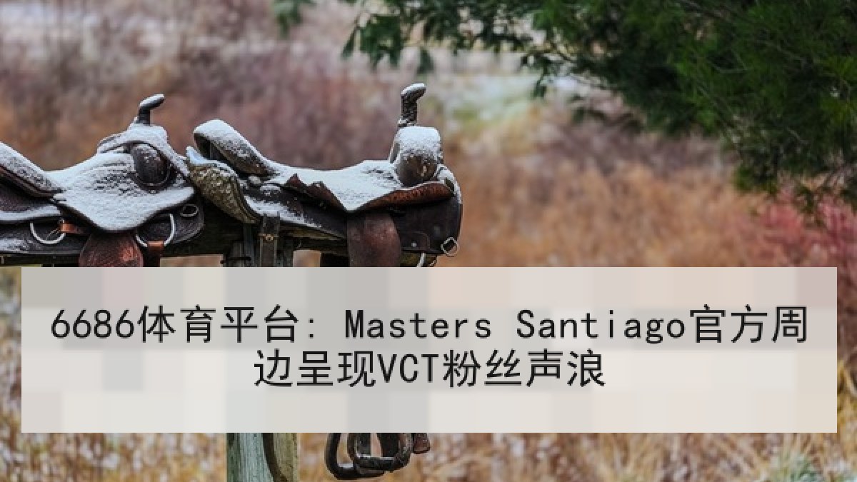 6686体育平台: Masters Santiago官方周边呈现VCT粉丝声浪